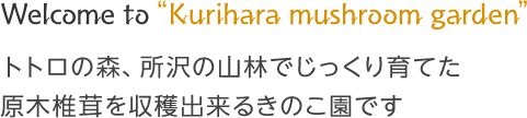 Welcome to Kurihara mushroom garden トトロの森、所沢の山林でじっくり育てた 原木椎茸を収穫できるきのこ園です。